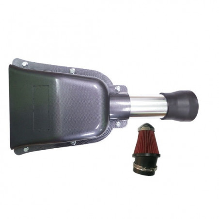 CAMPANA DE ADMISIÓN PARA PEUGOT 206 2.0L 16V