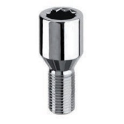 TORNILLO TORX D20 12x1,5x28...