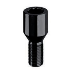 TORNILLO TORX D20 12x1,5x45...