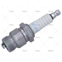 BUJIA NGK AR6FS