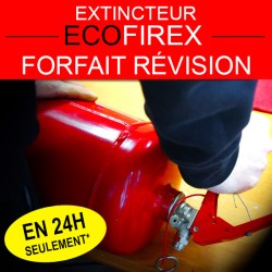 REVISION EXTINTOR ECOFIREX RRS