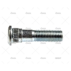 ESPARRAGO ESTR. 12X150 k...