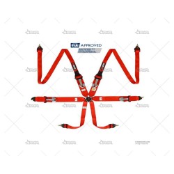 ARNES RRS FIA R6 HANS 6...