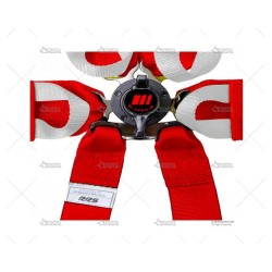 ARNES RRS FIA ONE HANS 6...