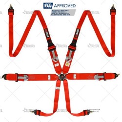 ARNES RRS FIA R6 HANS 6...