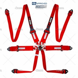 ARNES RRS FIA ONE HANS 6...