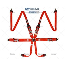 ARNES RRS FIA R6 HANS 6...