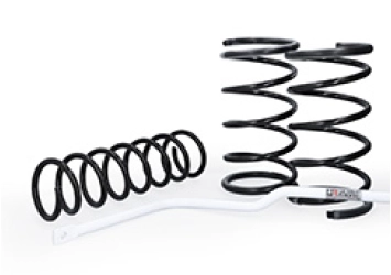 MUELLES Y ESTABILIZADORAS