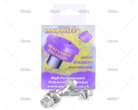 REGUL. CAIDA POWERFLEX PFA100-10 (x1)