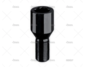 TORNILLO TORX D20 12x1,25x45 60º BLK BRAND R