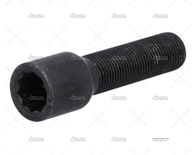 TORNILLO TORX D20 14x1,25x45 60º BLK BRAND R