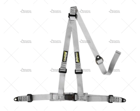 ARNES 3 PUNTOS TRACK DAY GRIS MUDRIVER