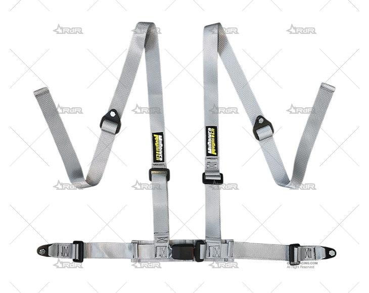 ARNES 4 PUNTOS TRACK DAY GRIS MUDRIVER