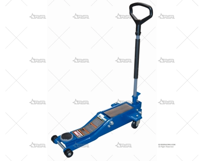 GATO PROFESSIONAL MUY BAJO 2T BRAND R