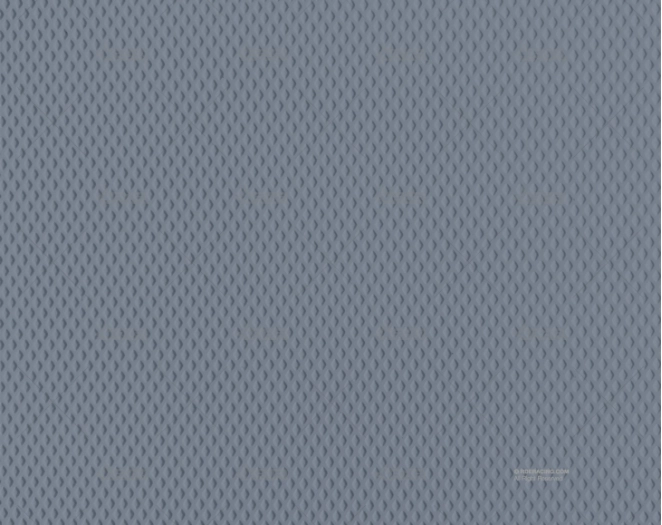 PANEL AS DIA GRIS 25,4x1219x 676