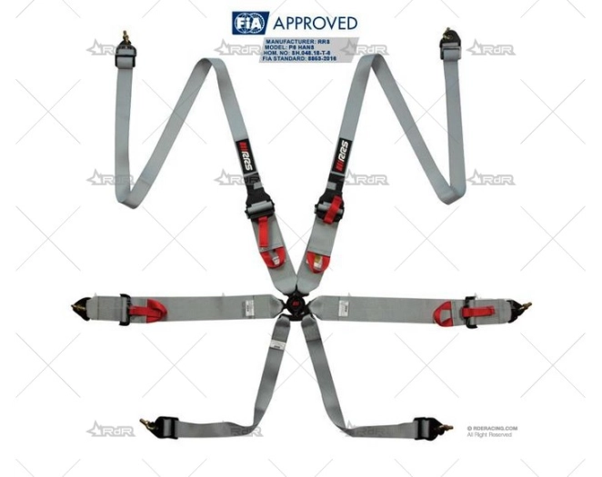 ARNES 6 PUNTOS FIA R6 2+3" HANS GRIS RRS