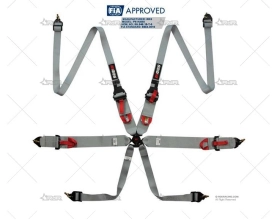 ARNES 6 PUNTOS FIA R6 2+3" HANS GRIS RRS