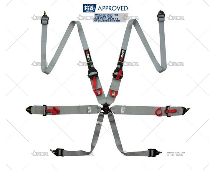 ARNES 6 PUNTOS FIA R6 2+3" HANS GRIS RRS